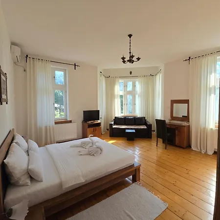 Devedzic 4* Vrnjačka Banja